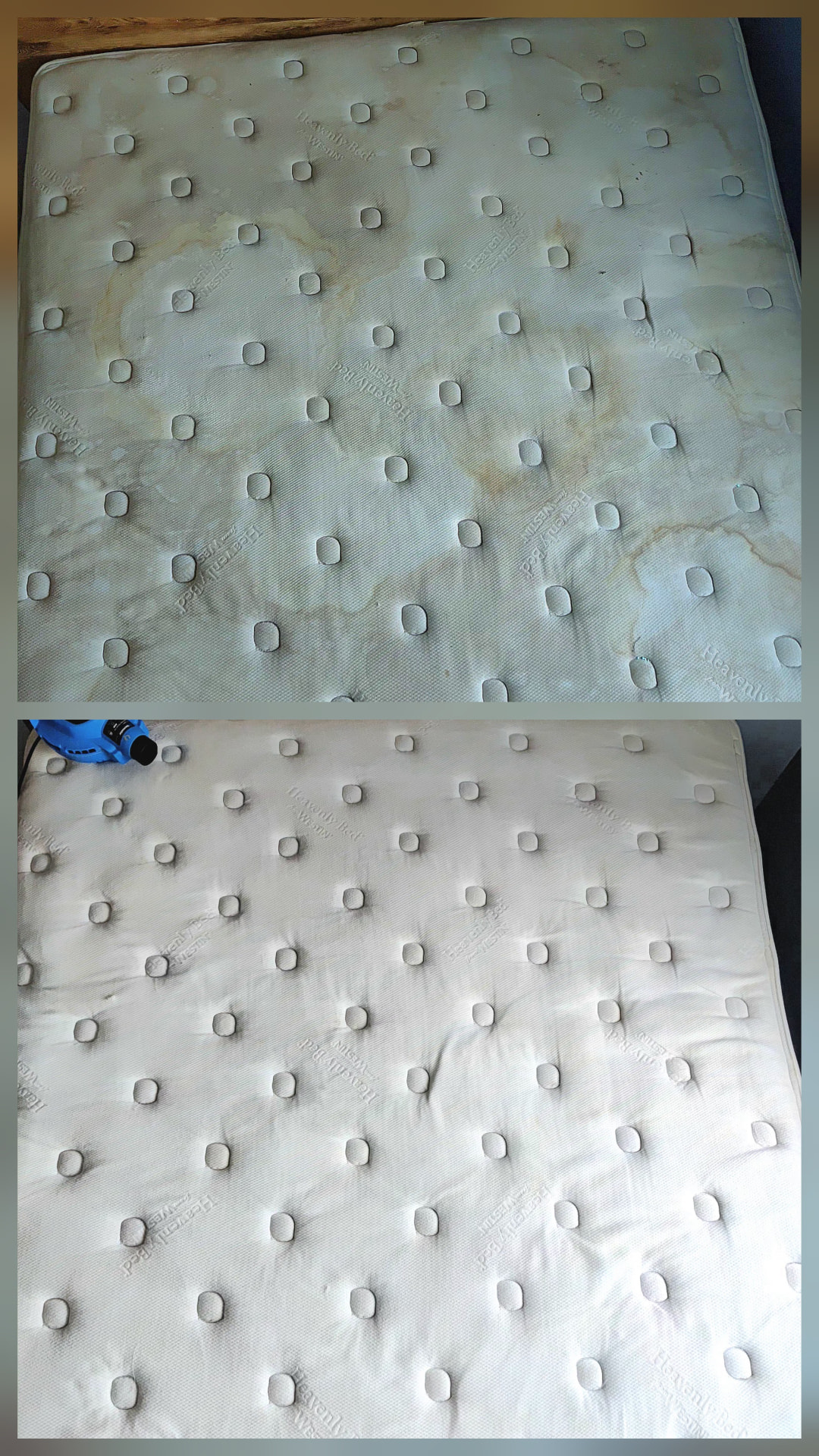 Mattress steam extraction