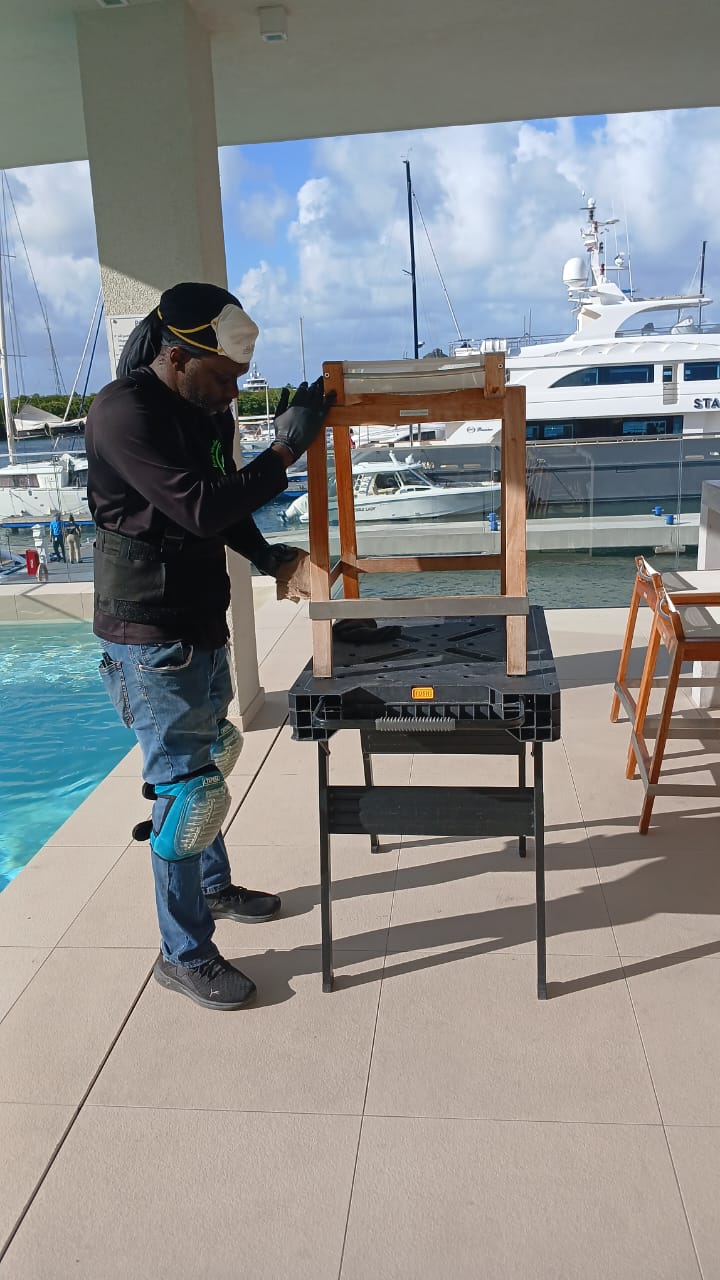 Alesco E. Violenes, CEO of VioDaaL and Long Strokes Deep Cleaning